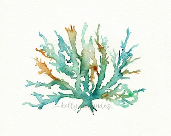 Beach Print, Beach Art, Coral Print, Wall Art, Watercolor Print, No. 2 Sea Coral