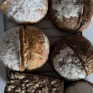 May include: Overhead shot of assorted freshly baked loaves of bread. The bread has a rustic appearance with a crusty exterior and a dusting of flour. The loaves vary in shape, including round and rectangular, and are arranged on a wire rack.
