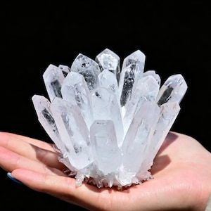 Puede incluir: Un racimo de cristales de cuarzo transparentes y translúcidos que presenta múltiples terminaciones afiladas y puntiagudas que irradian desde una base central. La formación mineral muestra facetas naturales e inclusiones internas, creando una apariencia brillante y reflectante sobre un fondo oscuro.