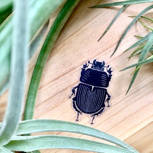 Beetle Sticker