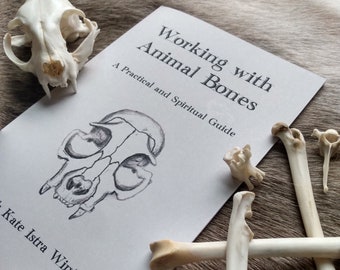 Werken met dierenbotten: boekje: een praktische en spirituele gids