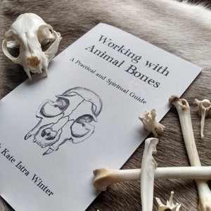 Working with Animal Bones Booklet A Practical and Spiritual Guide image 1