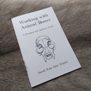 Working with Animal Bones Booklet A Practical and Spiritual Guide image 2