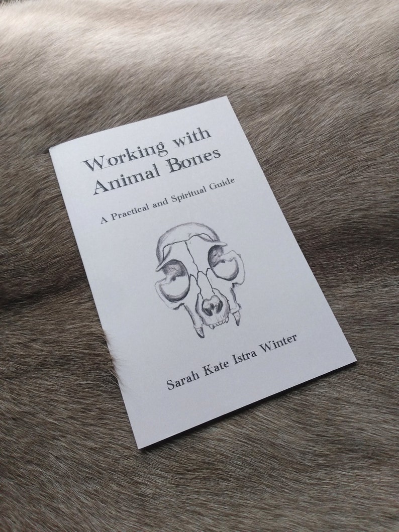 Working with Animal Bones Booklet A Practical and Spiritual Guide image 2