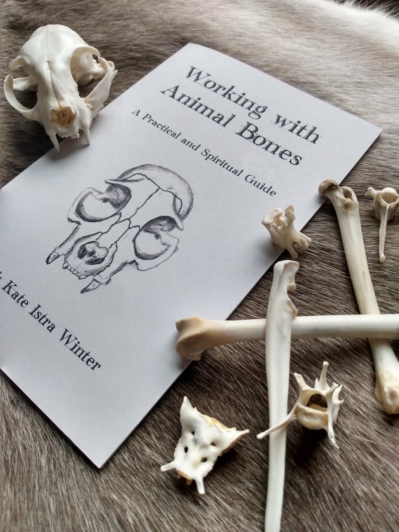 Working with Animal Bones Booklet A Practical and Spiritual Guide image 1
