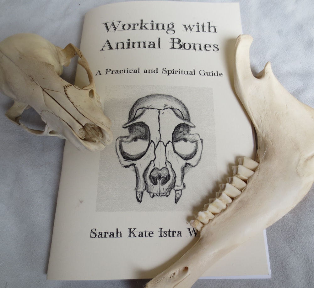 Working with Animal Bones - Booklet - A Practical and Spiritual Guide