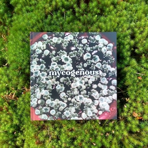 May include: A book cover with a close-up image of a petri dish with a dark background and white spots. The title of the book is "mycogenous".