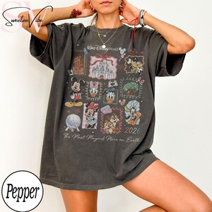 Puede incluir: Camiseta gris oscuro con un gr&aacute;fico colorido de Disney World. El dise&ntilde;o incluye varios personajes y lugares emblem&aacute;ticos de Disney, con el texto "Walt Disney World" y "2026". La frase "The Most Magical Place on Earth" tambi&eacute;n est&aacute; impresa en la camiseta.