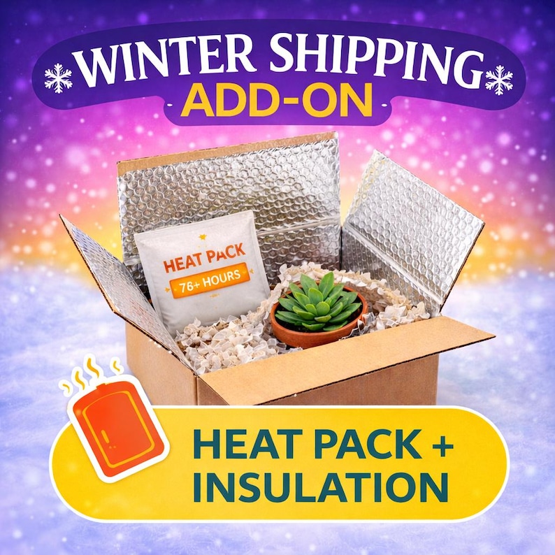 Winter Shipping Add-on (heat Pack + Insulation) - Etsy