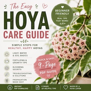 May include: A digital Hoya care guide with the title "The Easy Hoya Care Guide." The cover features a close-up of a Hoya plant with pink flowers. The guide promises simple steps for healthy Hoyas, including light, water, and soil basics.