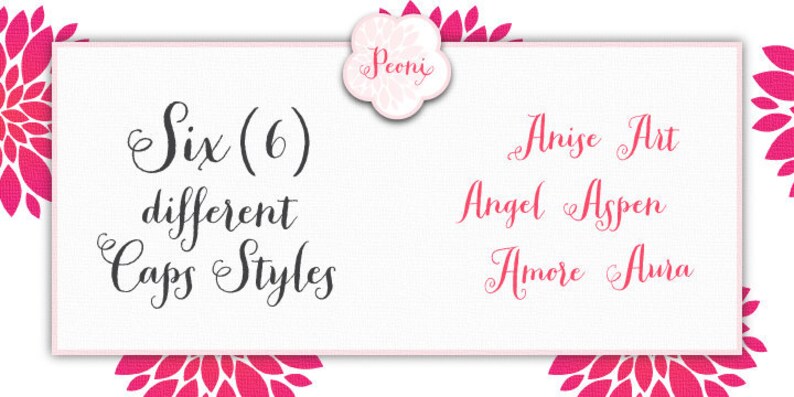 Peoni Font Pro Version OTF TTF Patterns Swashes PUA Silhouette Cricut image 4