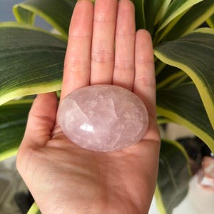 May include: A smooth, oval-shaped rose quartz palm stone. The stone is a soft pink color and is held in an open hand. A bracelet with pink and blue beads is visible at the wrist. Green and yellow plant leaves are in the background.