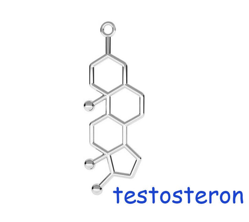 Silver 925 Molecule Male Sex Hormone Chemistry Science jewelry Silver Necklace pendant F597 1pc Sterling Silver Testosteron charm