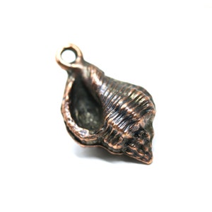 May include: A copper-coloured seashell charm with a detailed, textured surface. The charm has a loop at the top for attaching to a necklace or bracelet.
