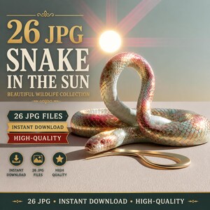May include: A digital collection of 26 JPG files titled 26 JPG SNAKE IN THE SUN BEAUTIFUL WILDLIFE COLLECTION. The image features a coiled snake with iridescent scales under a bright sun, accompanied by icons for download and high quality.