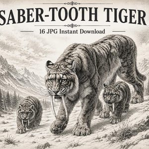 May include: A black and white pencil-style illustration of a large saber-tooth tiger walking with two cubs in a snowy mountain landscape. The text at the top reads SABER-TOOTH TIGER and 16 JPG Instant Download in a serif font.