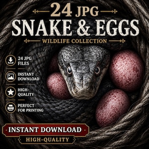 Op de afbeelding: Een digitale collectie van 24 JPG-bestanden getiteld Snake & Eggs Wildlife Collection met een donkergrijze slang die om drie gespikkelde roodbruine eieren is gekruld. De afbeelding bevat tekstlabels voor 24 JPG-bestanden, directe download, hoge kwaliteit en perfect om af te drukken.
