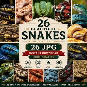 May include: A digital collection of 26 high-quality snake images featuring various species with diverse patterns and colors. The central text reads 26 BEAUTIFUL SNAKES WILDLIFE COLLECTION 26 JPG INSTANT DOWNLOAD HIGH-QUALITY with icons for download, files, quality, and printing.