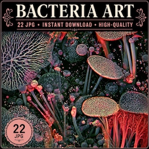 Może przedstawiać: Cyfrowa kolekcja grafik pod tytułem BACTERIA ART zawierająca 22 pliki JPG. Obrazy przedstawiają mikroskopijne struktury w stylu bioluminescencyjnym w odcieniach czerwieni, różu i ciemnego błękitu, ze złożonymi wzorami rozgałęzień, teksturowanymi formami i cienkimi łodygami.
