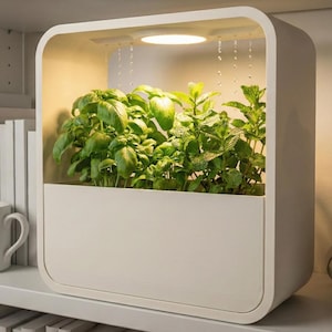 Bloempot met regeneffect en ledverlichting, decoratieve kamerplant, moderne bloempot voor op bureau of plank.