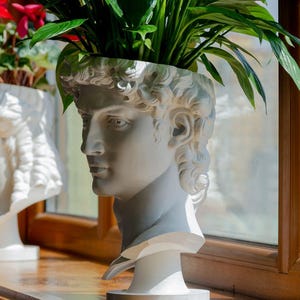 Op de afbeelding: Een witte buste van David, gebruikt als plantenbak, gevuld met groene bladeren. De sculptuur staat op een houten oppervlak bij een raam. Een andere witte buste is gedeeltelijk zichtbaar op de achtergrond.