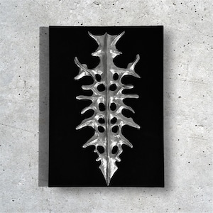 May include: A silver-coloured, elongated, organic-shaped sculpture with a symmetrical, spine-like structure featuring multiple pointed protrusions and circular cutouts, mounted vertically on a solid, rectangular black background panel.