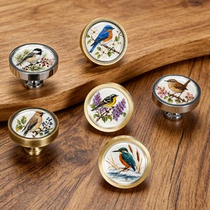 Wild Bird Watercolor Drawer Knobs, Floral Cabinet Pulls, Nature Farmhouse Handles Hardware