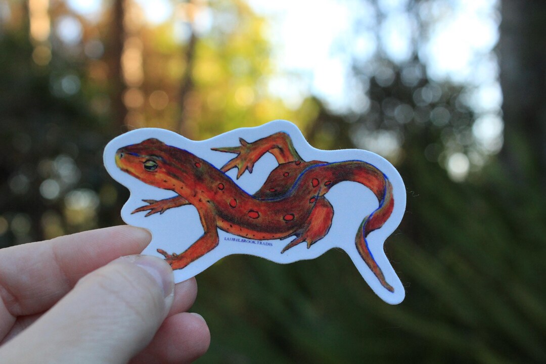 Send Newts Sticker Red-spotted Newt Wildlife Sticker - Etsy