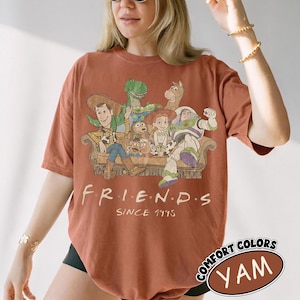 May include: A terracotta-colored t-shirt featuring a graphic print of Toy Story characters sitting on a couch with the text "F.R.I.E.N.D.S SINCE 1995" printed below. The characters include Woody, Buzz Lightyear, Jessie, Rex, Slinky Dog, and Mr. Potato Head.