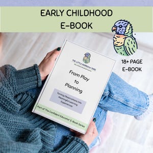 May include: An e-book titled From Play to Planning: Turning Observations into Meaningful Learning Experiences, part of The Confident Educator E-Book Series. The cover features a small bird illustration and the text 18+ PAGE E-BOOK.