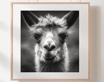 Llama Portrait Photo Print: Black and White Wall Art (Digital Download)