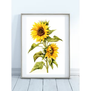 Cartel de dibujo a lápiz de color de dos girasoles, descarga digital, decoración de pared rústica, decoración de jardín, arte imprimible, impresión botánica