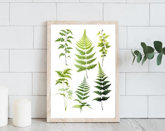 Fern Botanical Print: Colored Pencil Drawing, Rustic Wall Art (Digital Download)