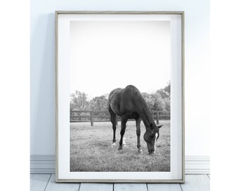 Zwart-wit paard fotografieprint: moderne paardenkunst (digitale download)