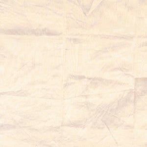 May include: A light beige fabric with a subtle, fine-ribbed texture and a series of intersecting, faint geometric lines creating a soft, creased appearance across the surface. The word BLOUSE is printed in a simple, black sans-serif font below.