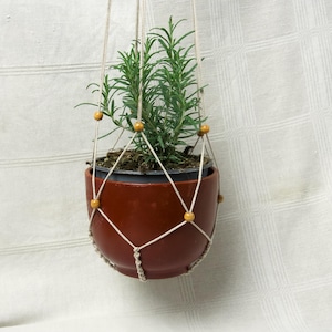 Może przedstawiać: Wiszący doniczka z terakoty z rośliną rozmarynu. Doniczka jest zawieszona przez makramę z drewnianymi koralikami. Roślina ma zielone, igiełkowate liście. Tło to biała, teksturowana tkanina.