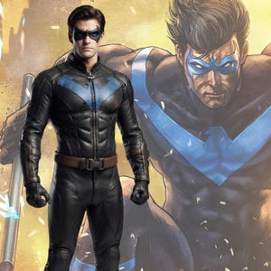 May include: A black leather-like tactical suit featuring a blue bird emblem on the chest, a high collar with a small bat-shaped zipper pull, a brown utility belt, and black gloves. The suit is worn with a black domino mask over the eyes.