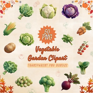 May include: A collection of colorful vegetable clipart, including a head of cauliflower, a purple cabbage, and a bundle of carrots. The image also features a corn on the cob, a potato, and a bunch of tomatoes. Text reads "50 PNG Vegetable Garden Clipart Transparent PNG Bundle."