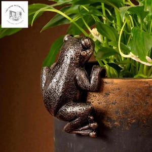 Puede incluir: Una escultura de rana de color bronce agarrada al borde de una maceta oscura. La rana tiene una superficie texturizada y detalles, con sus patas delanteras agarrando el borde de la maceta. En el fondo se ven hojas verdes y flores blancas.