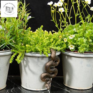 Könnte beinhalten: Drei graue Metallpflanzgefäße gefüllt mit grünen Pflanzen und weißen Blüten. Eine bronzefarbene Schlangenskulptur ist um den Rand des mittleren Pflanzgefäßes gewickelt. Die Pflanzgefäße stehen auf einer schwarzen Oberfläche.