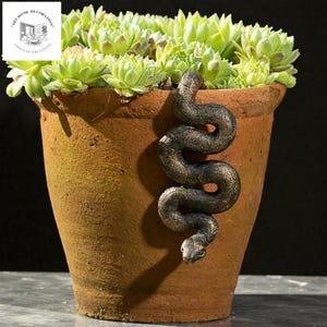 May include: A terracotta-colored flower pot filled with green succulents, adorned with a bronze-colored snake sculpture winding down the side. The pot has a weathered appearance, adding a rustic charm to the plant arrangement.