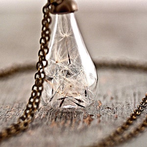 Handblown glass teardrop filled with REAL DANDELION seeds delicate necklace, gift for her image 4