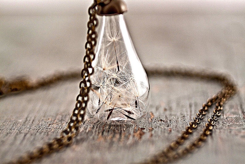 Handblown glass teardrop filled with REAL DANDELION seeds delicate necklace, gift for her image 4