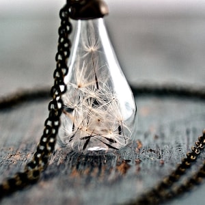 Handblown glass teardrop filled with REAL DANDELION seeds image 3