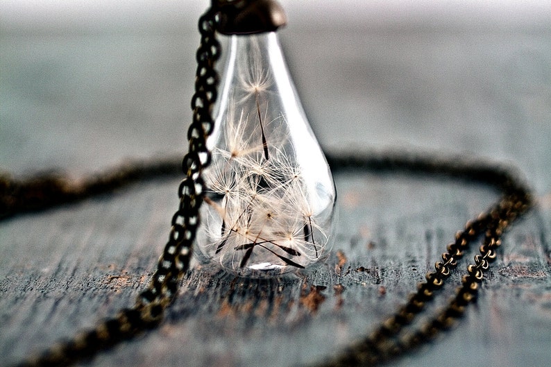 Handblown glass teardrop filled with REAL DANDELION seeds delicate necklace, gift for her image 3