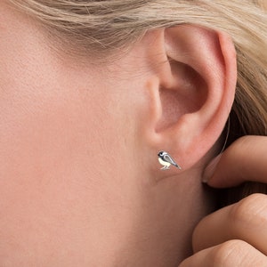 Puede incluir: Un par de pendientes de bot&oacute;n de plata con un peque&ntilde;o dise&ntilde;o de p&aacute;jaro carbonero detallado.