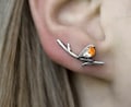 Robin Bird ear climbers. Sterling Silver and orange enamel. Just 1 ear hole needed.