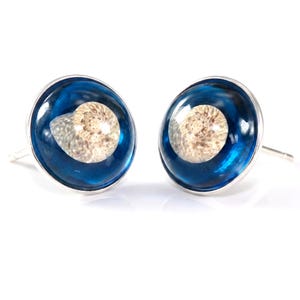 Op de afbeelding: Een paar ronde oorknopjes met een zilverkleurige metalen zetting. Elke oorbel bevat een doorschijnende diepblauwe harskoepel die een kleine, spiraalvormige, beige en crèmekleurige schelp omsluit in het midden van het ronde ontwerp.