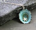 Ocean necklace. Tiny starfish in real limpet shell. Sterling silver. Delicate. Beach wedding. Bridesmaid. Unique seashell necklace for her.