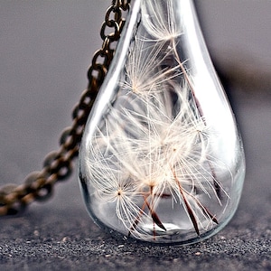 Handblown glass teardrop filled with REAL DANDELION seeds delicate necklace, gift for her image 5